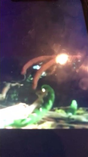 The scariest scene in Dinosaur (1985)