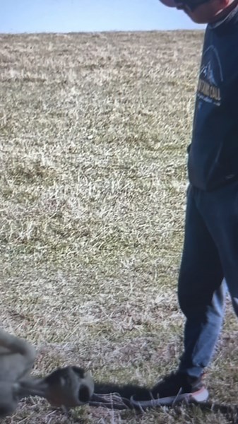 Ufos on Instagram: "alien corpse found"