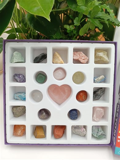 Boîte de collection de pierres précieuses en cristal naturel : 24 spécimens de minéraux pour débutant, cadeau de Noël pour enfants - Etsy France