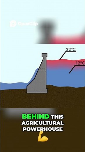 Murray River's Secrets. How Weirs Damage Ecosystems