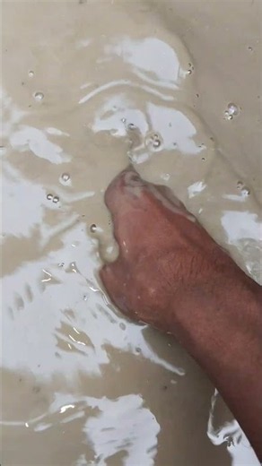#duck