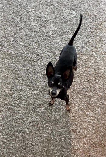 Dave Herman on Reels | Facebook