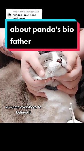 Mollythepandacatofficial on TikTok