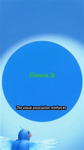 Learn Colors for Kids | Fun Educational Video with Animations