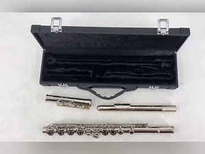 16-Key Flute, C Flute Instrument Closed Holes for Beginners, with Includes Case, Cleaning Kit, and Gloves (Silver)