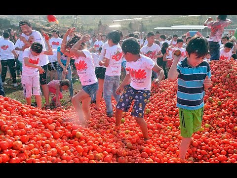 Tomato Festival in Spain | La Tomatina Festival Spain Bunol