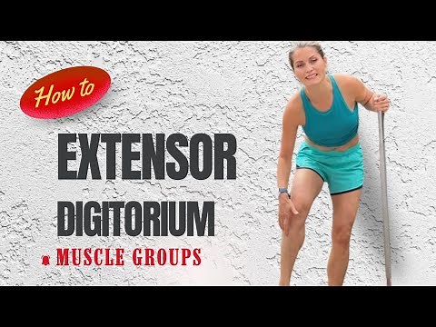 Exercises for Extensor Digitorum Longus | Foot Strength & Flexibility Workout