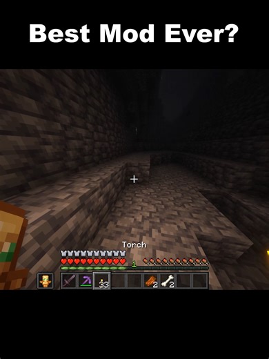Best Mod Ever?#minecraft