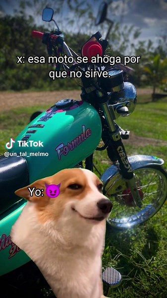 Plantillas y Ediciones Creativas en CapCut