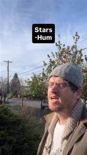 Kyle Rosse on Instagram: "Sorry for the voice crack, getting over a wicked cold #indierock #alternativemusic #diymusic #grunge #slowcore"