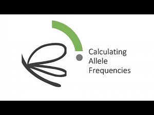 Calculating Allele Frequencies