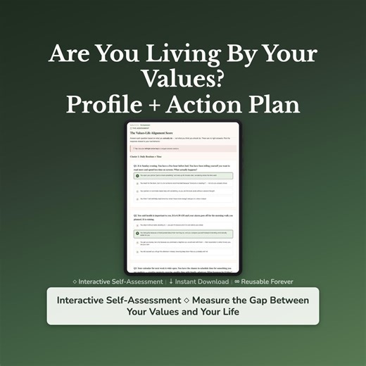 Values Alignment Profile –core Values Quiz   Strategy Guide – Self Scoring Tool - Etsy