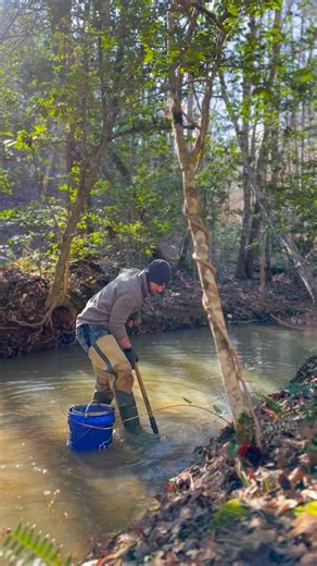 Finding Gold with the Dream Mat Sluicebox #gold #mining #prospecting #golddigger #au #oro #paydirt #mine #miner #minerals #outdoors #goldmine #goldminer #treasure #buriedtreasure #digging #goldprospecting #goldpan #panning #panningforgold #goldrush #sluicebox #24caratgold #golddiggers | X4Prospecting