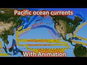 Pacific ocean currents detailed explanation with animation for UPSC 2024