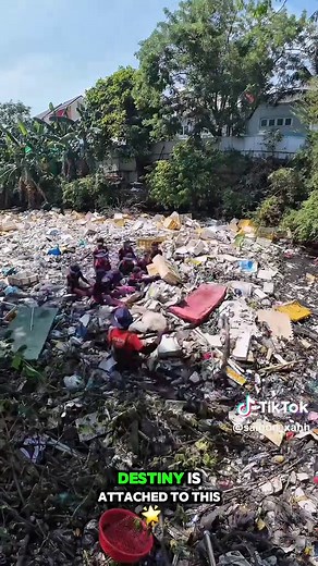 Humanity's Mission to Clean Up the World