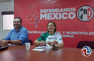 Desaseado e irregular el proceso de aprobación de la reforma judicial: Gutiérrez Fregoso