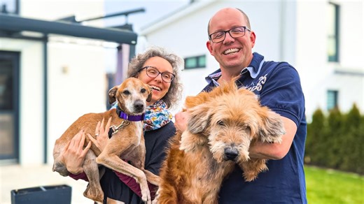 Two Senior Dogs Find Their Forever Home - Together!