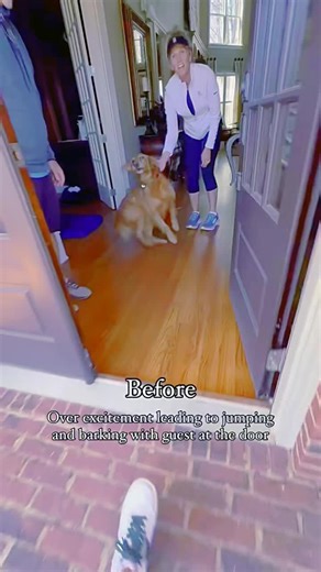 A Smarter Dog Starts Here! Positive, science-backed training for all breeds. Learn More : https://en-braintrainingfordog.com/ | We Dog Trainer