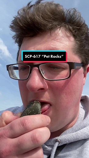 SCP-617: Pet Rocks - A Doctor Bright Encounter