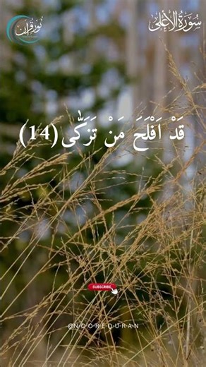 Surah Al-A’la Ayat 13–16 | Soft & Heart Touching Tilawat | سورة الأعلى #tilawat #quranrecitation