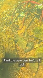 Spot the Pew Pew 🔫 | D ALL MY D