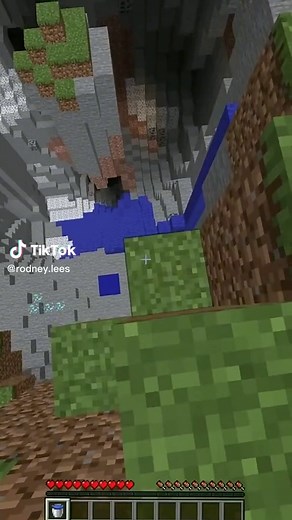 Rodney.Lees on TikTok