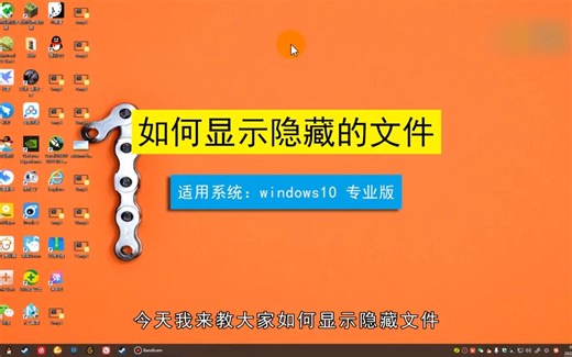 如何显示隐藏的文件？显示隐藏的文件