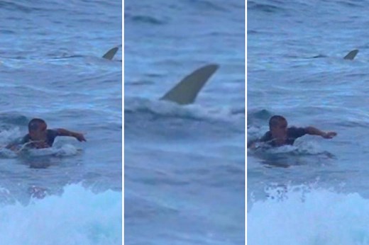 Puerto Rico's surfer faces close brush with shark