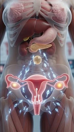 How Sperm Reaches the Egg | Human Fertilization Process