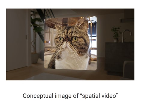 Spatial Video vs 3D video vs Immersive VR video