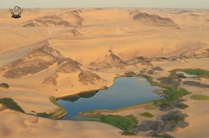 Desert Lion - हिन्दी डॉक्यूमेंट्री Part 3 #DesertLions #wildanimals #documentary #discovery #wildsearthtv | Wilds Earth Tv