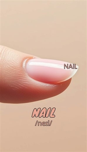 Loopoom English: Learn "Nail" - English Vocabulary & Pronunciation
