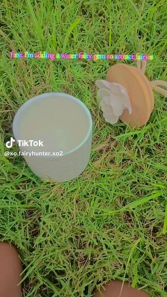 #fairyhunter#fyp#fyppppppppppppppppppppppp | fairy trap