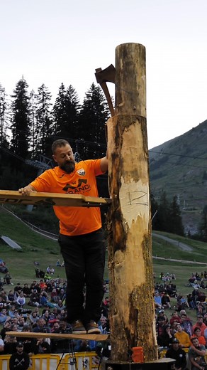 La disciplina che lascia sempre gli spettatori a bocca aperta? 😯 Springboard, una sfida durante la quale adrenalina e tensione raggiungono i massimi livelli! 🪵🪓 #timbersports #stihltimbersports #springboard | STIHL Timbersports