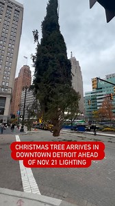 670K views · 10K reactions | The Christmas spirit is officially taking shape in Downtown Detroit as the city’s massive tree arrived today at Campus Martius Park. The 22nd Annual Detroit Christmas Tree Lighting, is set for Friday, November 21. More: themetrodetroitnews.com/detroit-christmas-tree-lighting-set-for-this-month-ice-rink-opening/ | Metro Detroit News | Facebook