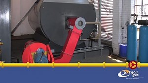 4.6K views · 17 reactions | Looking for a reliable alternative to...