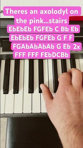 The Axolotl Song #meme #piano #pianolessons