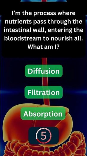 Interesting Fact About Your Digestive System! 🍽️ #BodyFacts 21