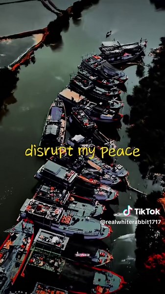 Embracing Peace: Knowing When to Let Go