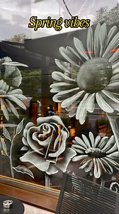 Snow Windows on Reels