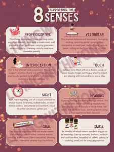 8 Senses Poster: Sensory Support Strategies Visual (PDF & JPEG) - Etsy