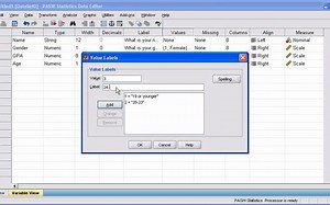 3.2 SPSS定义变量