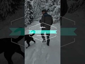 Can You Survive This Winter Wonderland? Tombstone Pass, Oregon