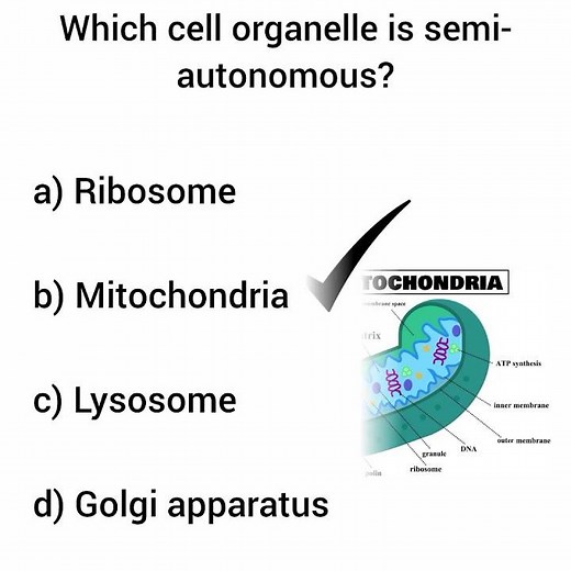 Biology GK Questions and Answers MCQ #biology #biologyquiz