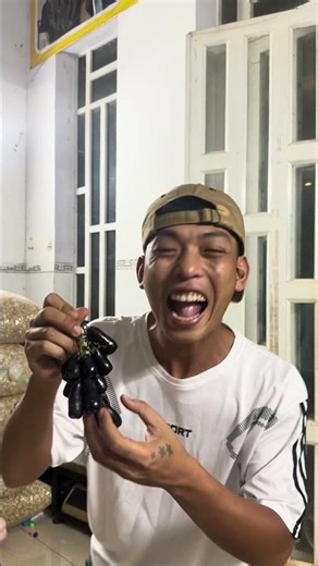 #funny #viral