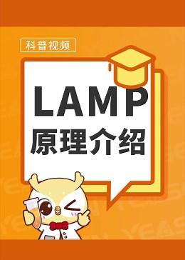 等温扩增之LAMP原理介绍#实验#原理动画#翌圣生物#生物科技