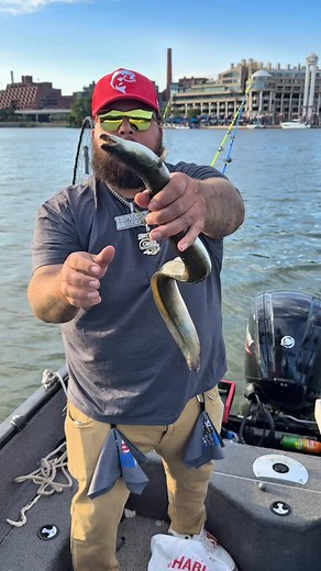 99K views · 10K reactions | Day #2 of using a live eel until we catch a fish | Haz Life Fishing | Facebook