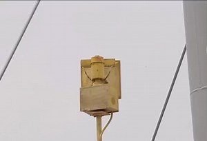 Siren Head Sound Effects and Echo Variations