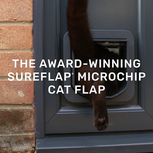 24K views · 54 reactions | You asked and we listened!  Our most...