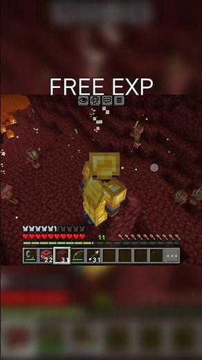 Easy XP + Free Gold in Nether 😱🔥 #Minecraf.VERY EASY XP & FREE GOLD NUGGETS HACK in Minecraft Nether